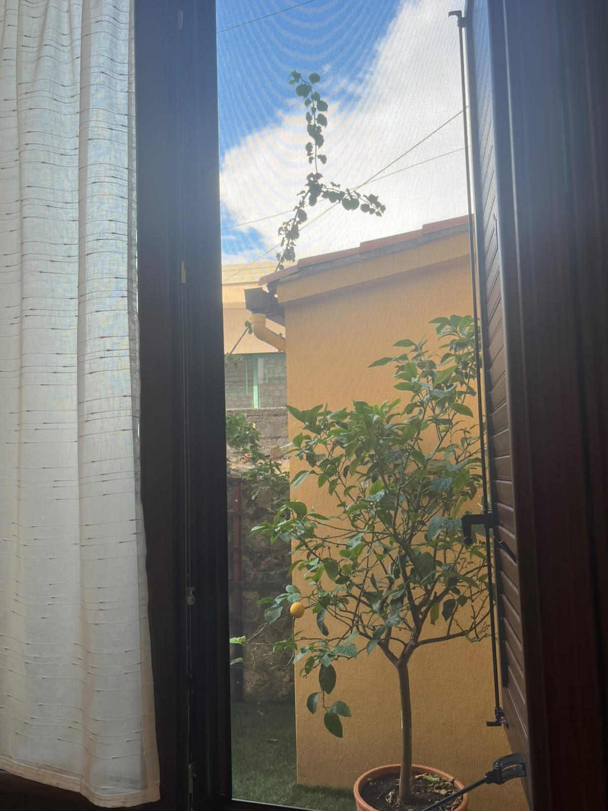 Vista dalla finestra sul giardino Appartamento Serena