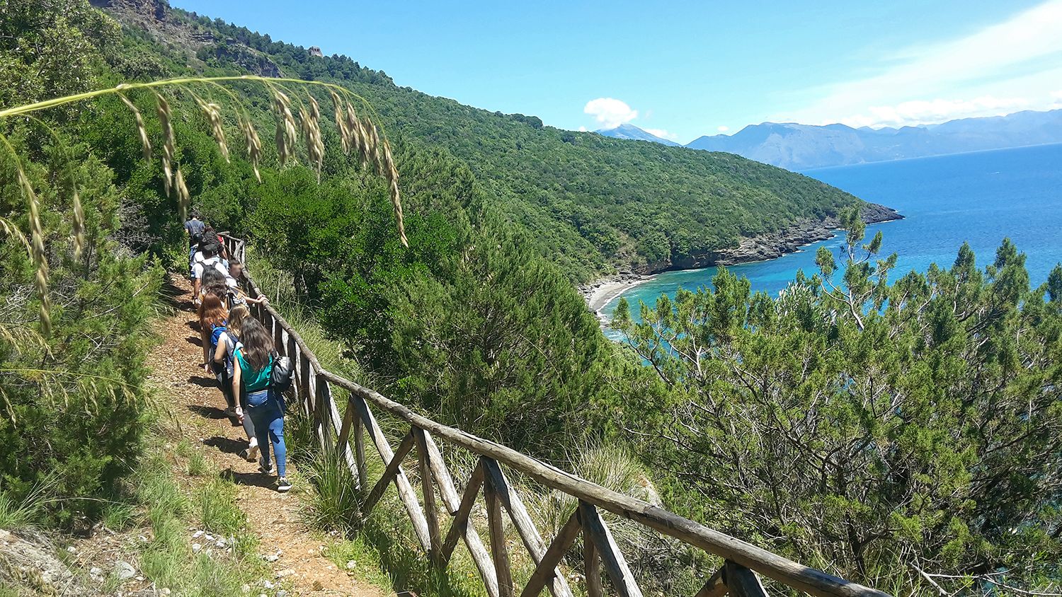 Vista panoramica sul Golfo di Policastro dal sentiero della Molara