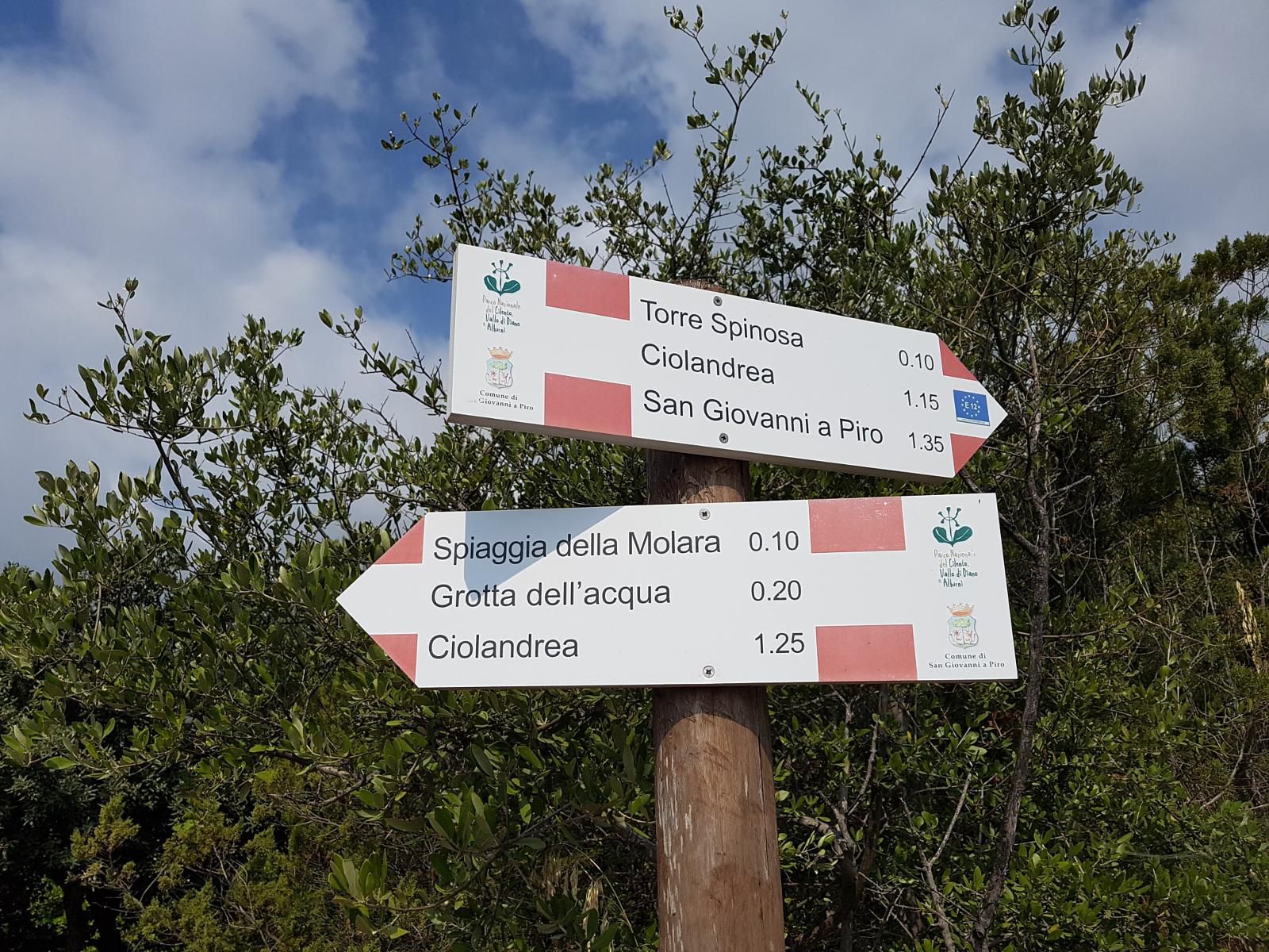 Macchia mediterranea sul sentiero per la Molara